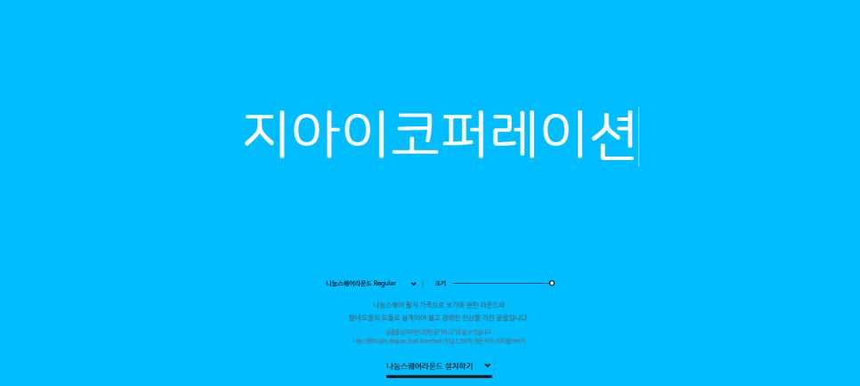 네이버 나눔 폰트