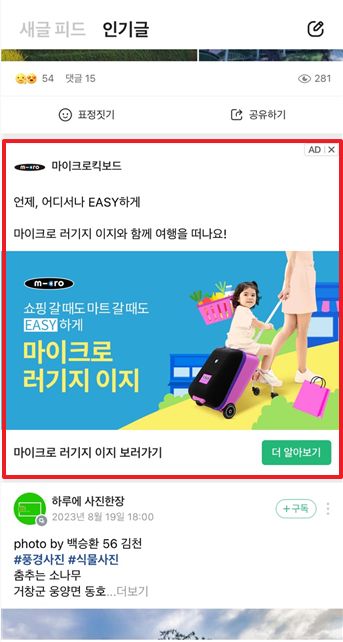 피드
